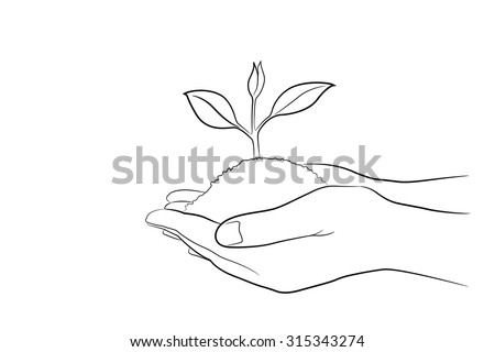 Seedling Hands Stock Images, Royalty-Free Images & Vectors | Shutterstock