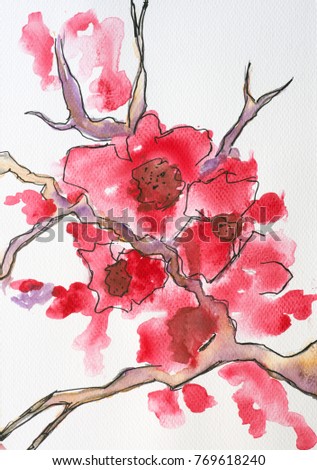 red cherry blossoms spring watercolor painting stock illustration