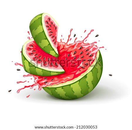 Juicy ripe watermelon cuts with splashes of juice drops. Eps10 vector illustration. Isolated on white background