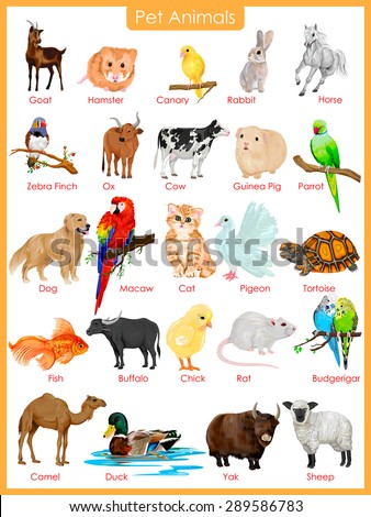 Herbivorous Animal Stock Images, Royalty-Free Images & Vectors | Shutterstock