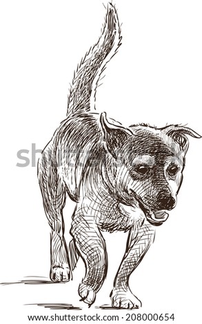 Sketch animal Stock Photos, Images, & Pictures | Shutterstock