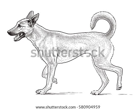 Sketch Guard Dog Stock Illustration 580904959 - Shutterstock