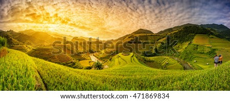 Green Rice fields on terraced in Muchangchai, Vietnam Rice fields prepare the harvest at Northwest Vietnam.Vietnam landscapes.