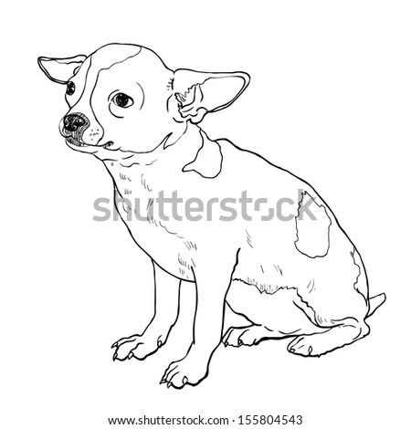 Vector Chihuahua On Sitting Pose Stock Vector 155804543 - Shutterstock