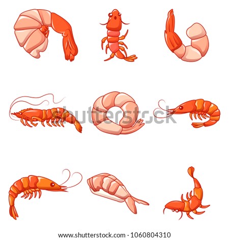 shrimp food web www