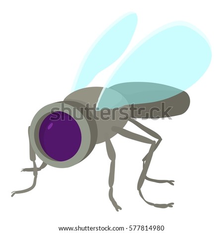 The housefly the most annoying insect ever
