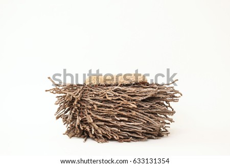 Digital Background Of Natural Wood Owl Nest Newborn Photography Prop