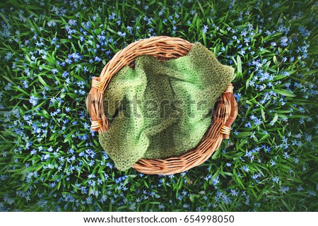 Digital Photography Background Of Spring Flower Field And Woven Wooden Basket Prop