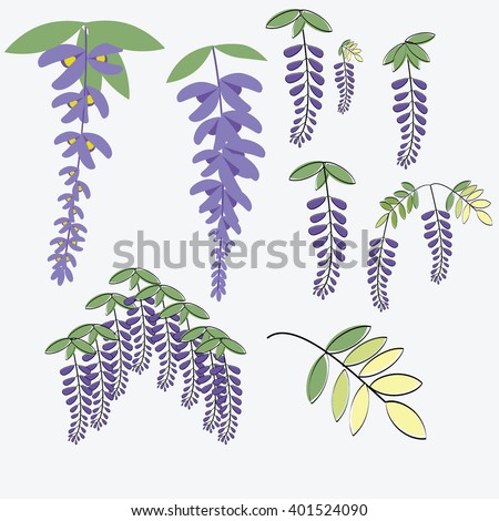 Wisteria Tree Stock Images, Royalty-Free Images & Vectors | Shutterstock