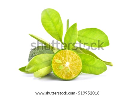Calamansi Fruit Stock Images, Royalty-Free Images & Vectors | Shutterstock