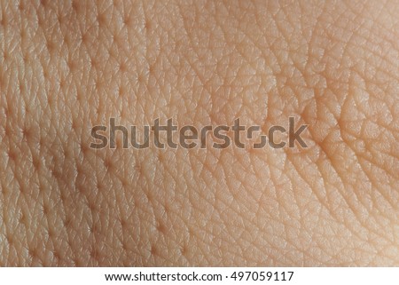 skin closeup stock images royalty free images vectors skin pores stock images royalty free images vectors skin closeup stock images royalty free images vectors skin pores stock images royalty free images vectors