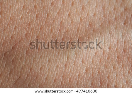 up texture of human skin with pores stock photo royalty free image 133633105 alamy skin pores stock images royalty free images vectors up texture of human skin with pores stock photo royalty free image 133633105 alamy skin pores stock images royalty free images vectors