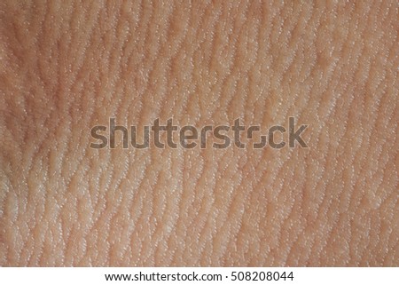 macro of clean healthy texture human skin stock photo 497410486 human skin stock images royalty free images vectors macro of clean healthy texture human skin stock photo 497410486 human skin stock images royalty free images vectors
