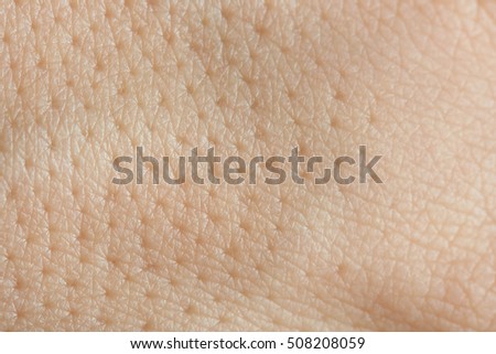 background human skin macro stock photo 172610195 pores on human skin macro stock photo 508208059 background human skin macro stock photo 172610195 pores on human skin macro stock photo 508208059