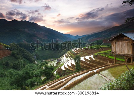 Rice field terraces view on the top mountain Mu Cang Chai , Vietnam.