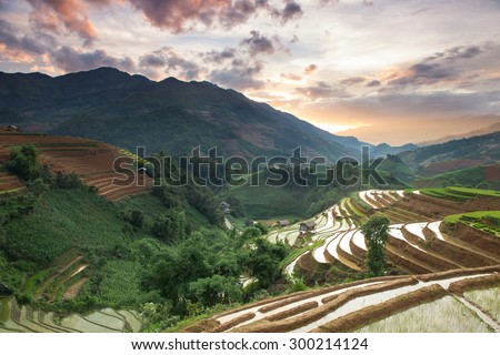 Rice field terraces view on the top mountain Mu Cang Chai , Vietnam.