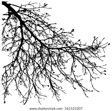 birds dry silhouette tree stock images royalty free images vectors shutterstock birds dry silhouette tree stock images royalty free images vectors shutterstock