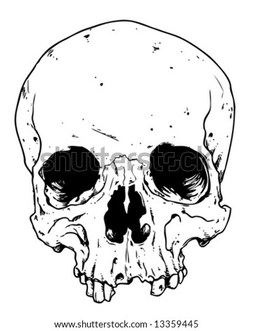 toothless skull vector