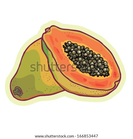Hand drawn papaya cartoon vector.