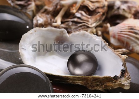 Image of a black pearl in the shell on wet pebbles.