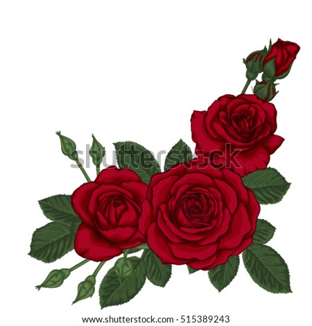 rose stock images royalty free images amp vectors rose stock images royalty free images amp vectors