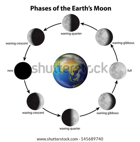 Moon Phases Stock Vectors & Vector Clip Art | Shutterstock