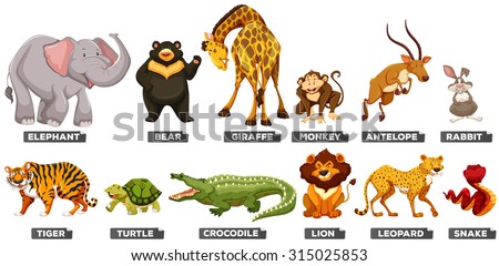 Wild animals in many types illustration