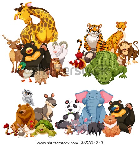 Owl Cartoon Stock Images, Royalty-Free Images & Vectors | Shutterstock