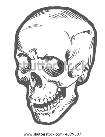 Skull Profile Stock Vector 4899271 - Shutterstock