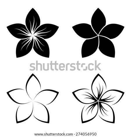 Plumeria Flower Stock Vectors & Vector Clip Art | Shutterstock