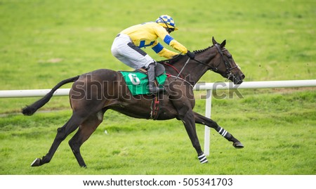 Race Horse And Jockey Galloping Down The Track