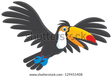 Toucan Flying Stock Photos, Images, & Pictures | Shutterstock