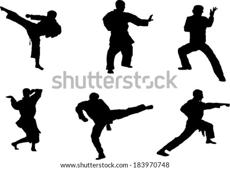 Taekwondo Kick Stock Images, Royalty-Free Images & Vectors | Shutterstock