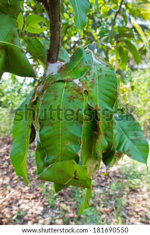 Stock Images similar to ID 3356267 - ant hill with a few ants...