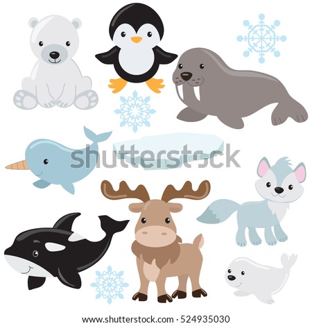 Arctic Fox Cartoon Stock Images, Royalty-Free Images & Vectors