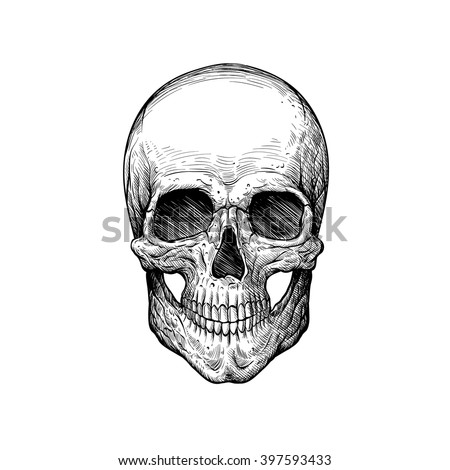 skull sketch tattoo design hand drawn stock vector skull sketch tattoo design hand drawn stock vector