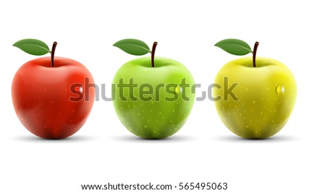 Set of red, yellow and green apples isolated on white background. Stock vector illustration