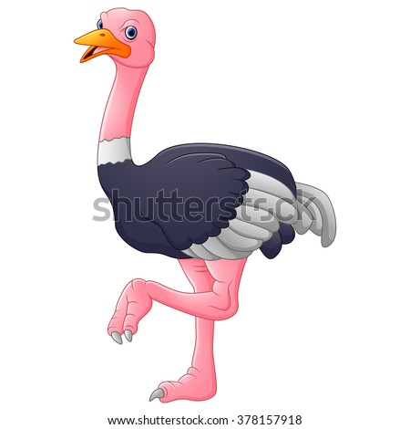 Ostrich Cartoon Stock Images, Royalty-Free Images & Vectors | Shutterstock
