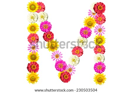 Letter M - flower isolated on white background, font - stock photo