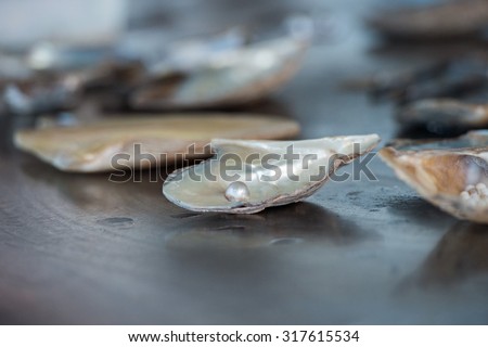cultured pearls factory on the sea