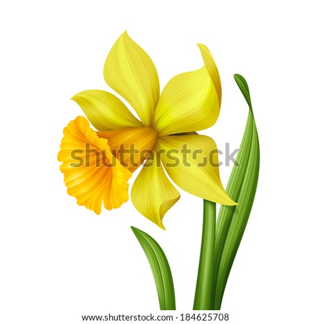 Flower Clip Art Stock Photos, Images, & Pictures | Shutterstock
