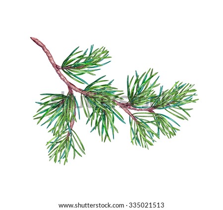 Christmas Tree Branch Conifer Pine Tree Stock Illustration ...