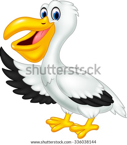 Pelican Stock Images, Royalty-Free Images & Vectors | Shutterstock