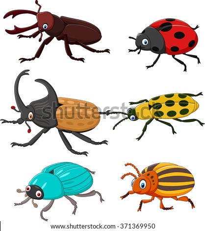 Cartoon Funny Beetle Collection Stock Vector 371369950 - Shutterstock