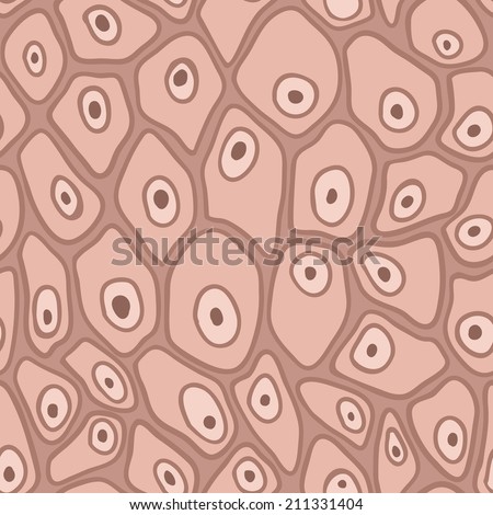 skin cells stock photos royalty free images vectors skin cells stock images royalty free images vectors skin cells stock photos royalty free images vectors skin cells stock images royalty free images vectors