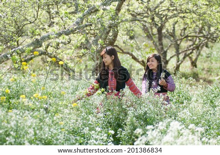 MOCCHAU, VIETNAM, FEBRUARY 14: Two H'Mong ethnic girls in a flower garden on February 14, 2014 in Mocchau, Vietnam. H'mong is the 8th largest ethnic group in Vietnam.