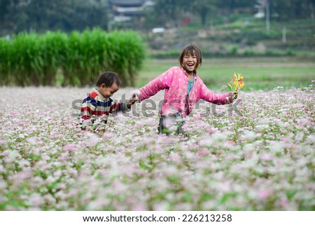 HAGIANG, VIETNAM, OCTOBER 26: Two kids in a buckwheat (tam giac mach) flower field on October 26, 2014 in Hagiang, Vietnam. Hagiang is famous for Dong Van karst plateau global geo park.