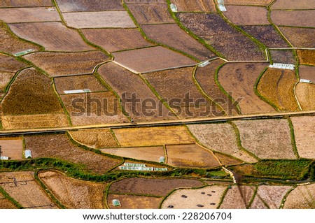 Patchwork rice field in Mai Chau, Hoa Binh province, Vietnam