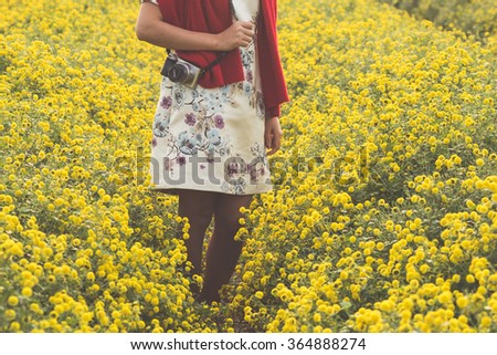 HUNGYEN, VIETNAM - FEB 16, 2016 :Young girl in yellow daisy field in Hung Yen, VIetnam. This kind of flower is used for traditional medicine in Vietnam.