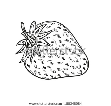 Strawberry Sketch Stock Images, Royalty-Free Images & Vectors ...